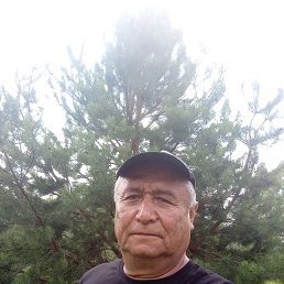 ���� ����������, ������, 65 ��� - ��������� 18 ������ 2023