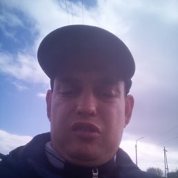 , 29, 