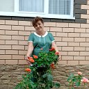 ���� ������, �������, 68 ��� - ��������� 14 ���� 2026 � ������ ���� ����������