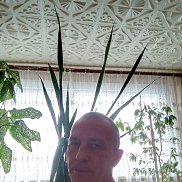 �������� �������, 53 ����, ���������