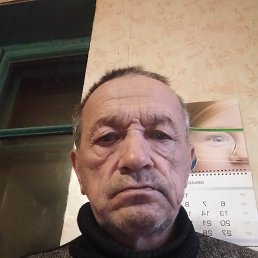 , 61, 