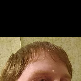 �����, ����������, 44 ����