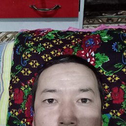 , 36, 