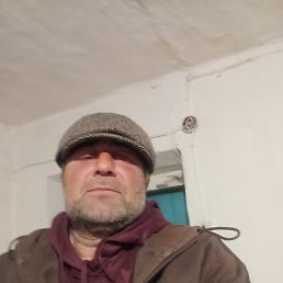 �����, �������, 51 ���