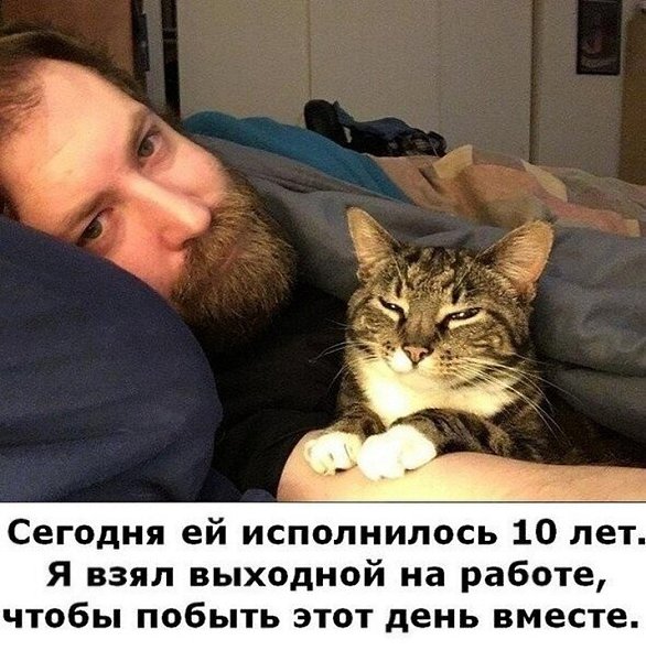 ? ,  ! - 5  2025  20:53