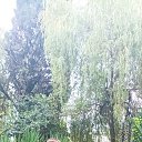 ���� �����, ������, 50 ��� - ��������� 3 ������� 2024 � ������ ���� ����������