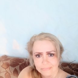 ���� �������, �����������, 54 ���� - ��������� 24 ��� 2026
