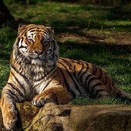 Svetlana,  -  30  2025