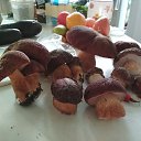 ���� ������, ������ - ��������� 7 ������� 2026