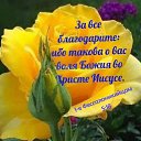 ���� �������, ���� - ��������� 14 ������� 2025 � ������ ������ ��������