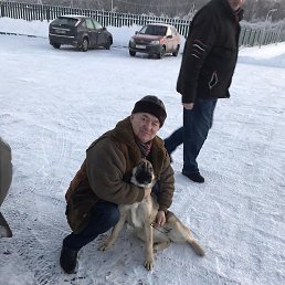 ���������, ������ ��������, 62 ����