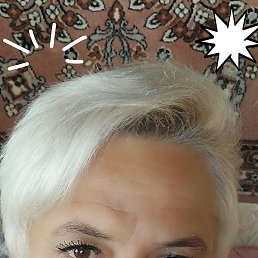 ��������, ���������, 54 ����