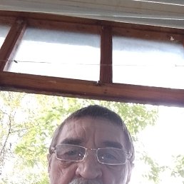 , 59, 
