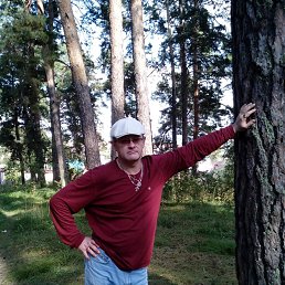 , 52 , 