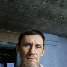 , 41, 