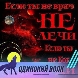 ��������, �����-���������, 33 ����