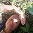 ���� Masha, �����-���������, 55 ��� - ��������� 3 ������� 2026