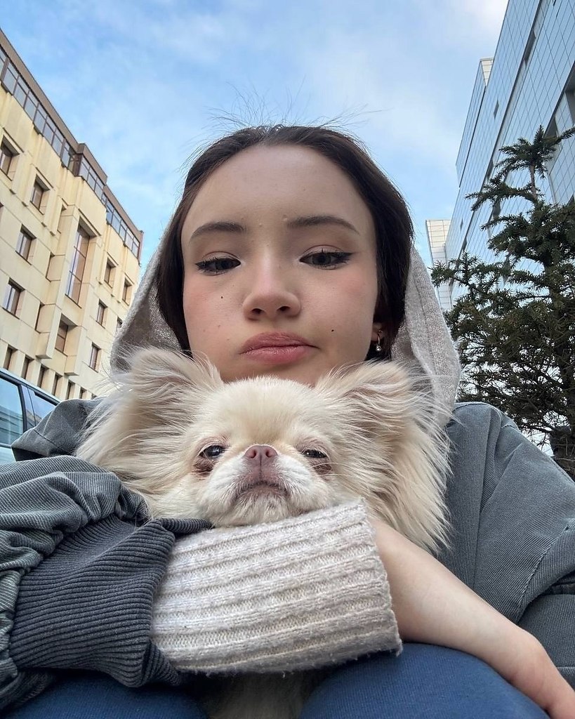     .         ... - 3