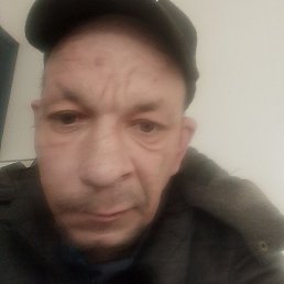 ����, �������, 38 ���