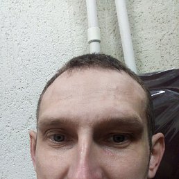 , 41, 