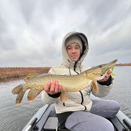 ������, 49 ���, ������