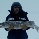 ���� �����, ���������, 57 ��� - ��������� 29 ������ 2025