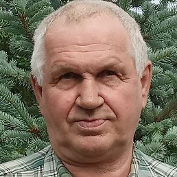 ������ ���������, ����, 67 ���