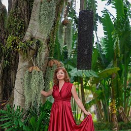 ��������, �����������, 49 ���