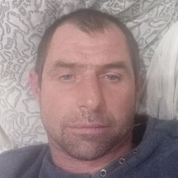 ���, ���������, 43 ����