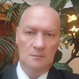 ������, ������, 49 ���