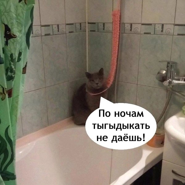  . - 3