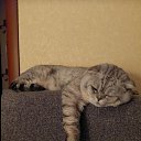 ���� �����, ���� - ��������� 21 ���� 2025 � ������ ���� ����������