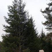 �����, 53 ����, ������