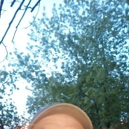 ���� ������� �����, ������, 51 ��� - ��������� 30 ��� 2025