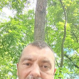 , 40 , 