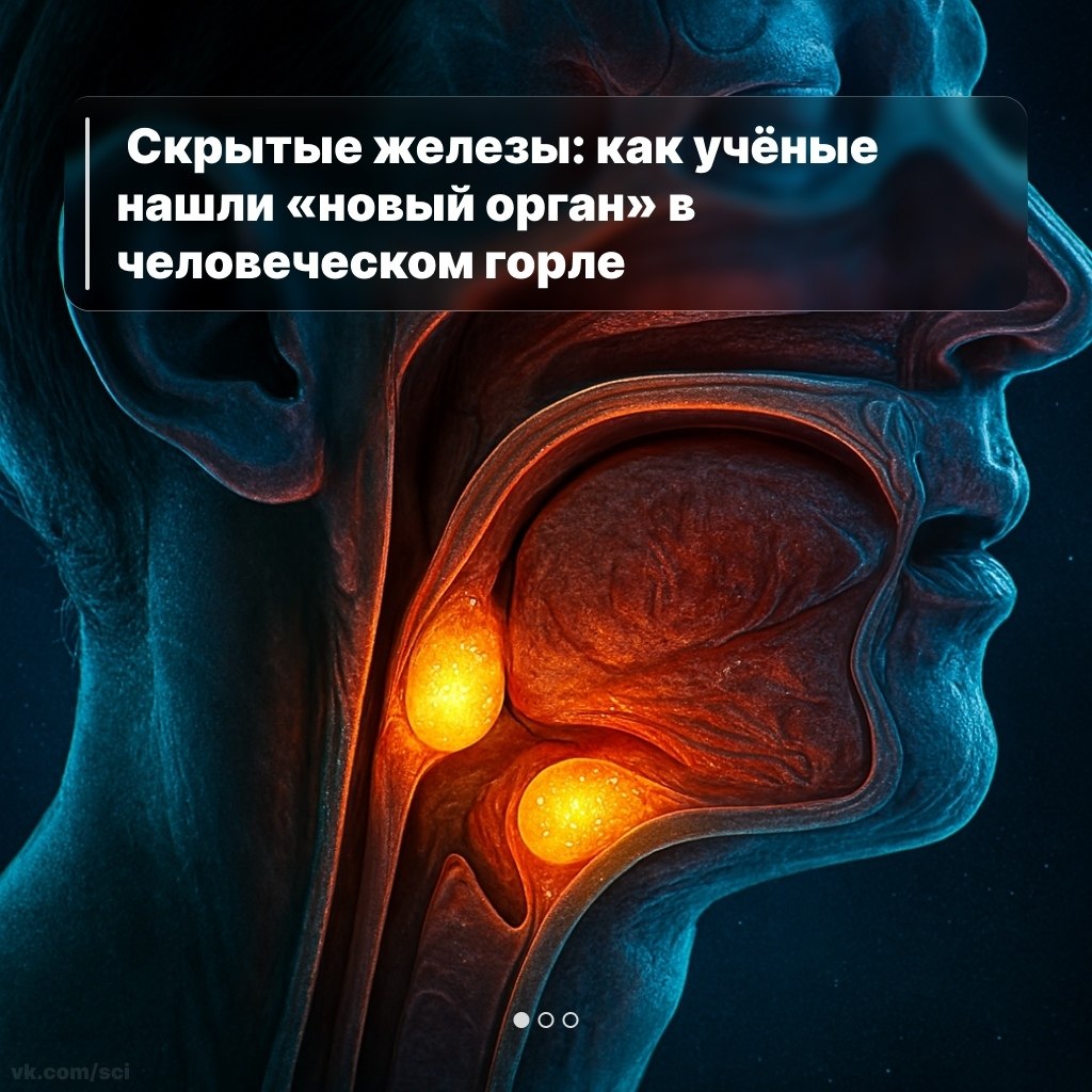  |  |   5 - 30  2025  21:21