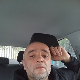 , 43 , 