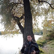 , 46 , 