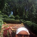 ���� ����, ���������, 49 ��� - ��������� 15 ������� 2025 � ������ ���� ����������