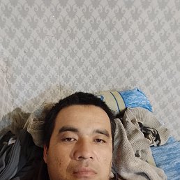 M, 40 , -