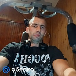 �����, 38 ���, ����