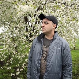 ������, 37 ���, ������