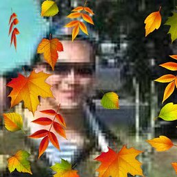 , , 50 
