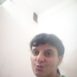 , 33, 