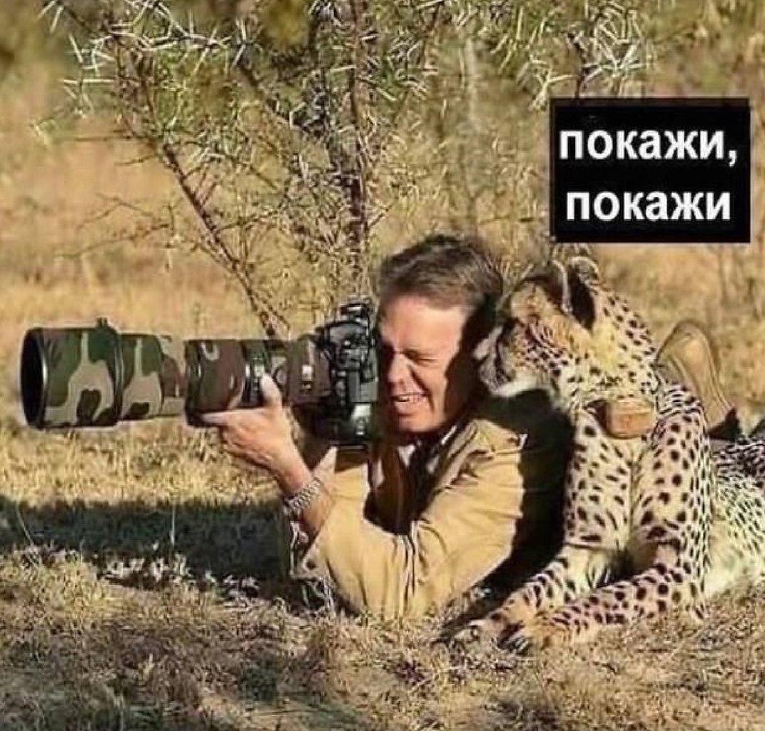    -  . - 27  2025  18:55