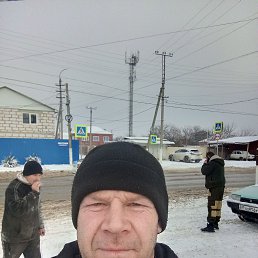 ����, 46 ���, ���������