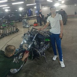 , 37, 