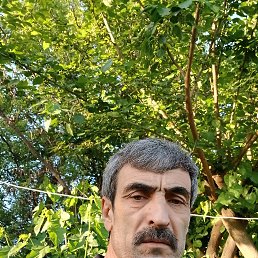 , 54, -