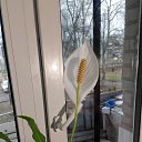 ���� �������, �����-���������, 59 ��� - ��������� 14 ������ 2025 � ������ ���� ����������