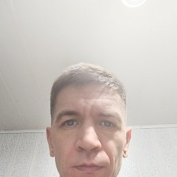 ���� �����, ��������, 41 ��� - ��������� 2 �������� 2025